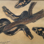 Gaston SUISSE (1896-1988) - Étude de pythons
